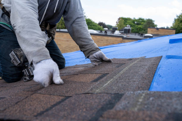 Best Commercial Roofing Services  in Cambridge Springs, PA