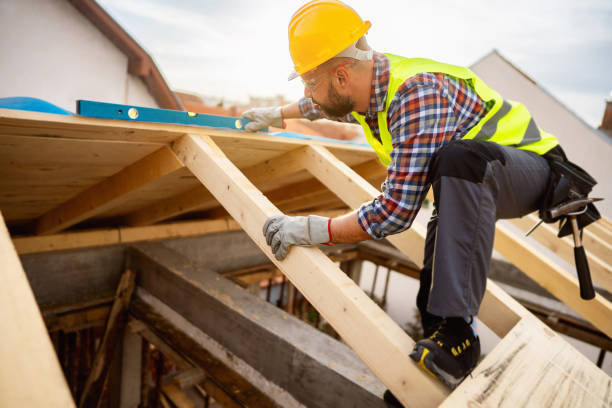 Best Roof Gutter Cleaning  in Cambridge Springs, PA